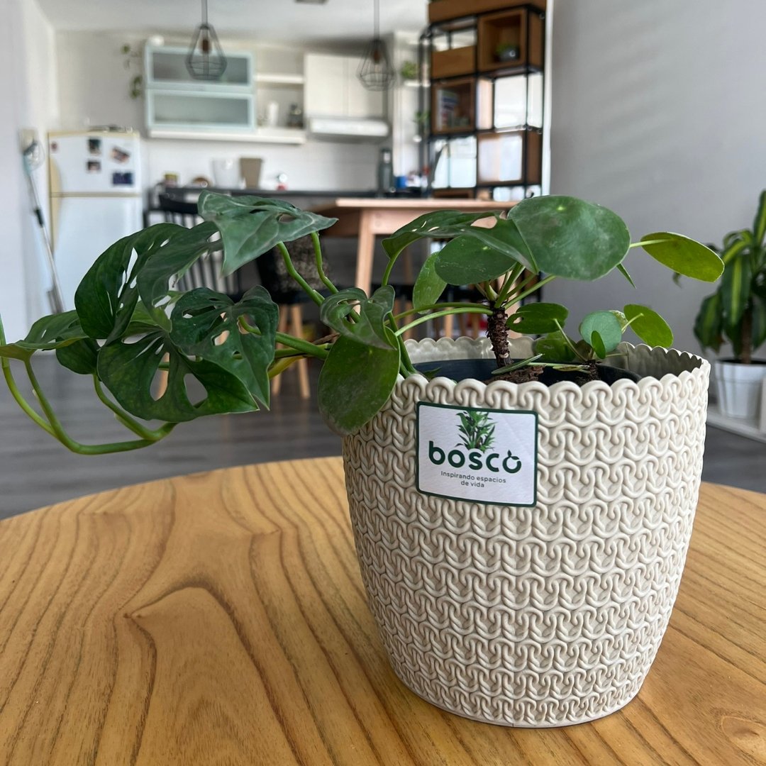 Maceta Plástica Brescia Bosco Nº 18 Exterior Mate