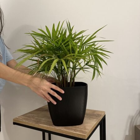 Maceta de Interior Vercelli Cuadrada N° 22