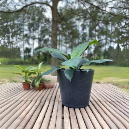 Maceta Rotomoldeada Floridis Ginebra 31L (40x35cm)