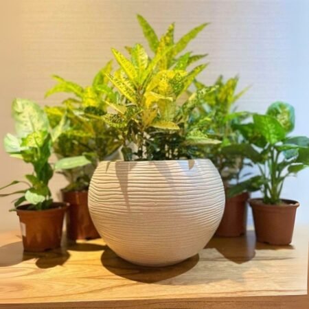 Maceta Rotomoldeada Floridis Florencia Sisal Esfera 15L -Efecto Piedra