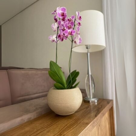 Maceta Rotomoldeada Floridis Florencia Sisal Esfera 7L- Efecto Piedra