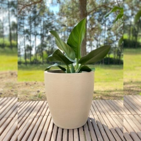 Maceta Rotomoldeada Floridis Amsterdam 102L (Efecto Piedra)