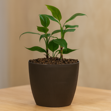 Maceta Vercelli N16 Bosco Redonda Texturada