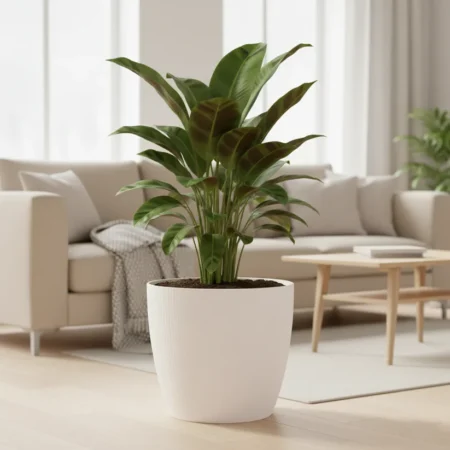 Maceta de Interior Vercelli N° 37