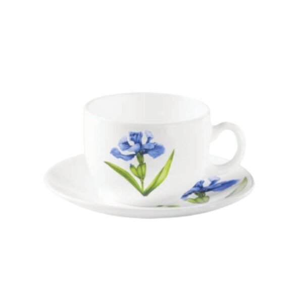 Set de Taza y Plato Biondina Classique Tulip 160 ml – Pack x 6